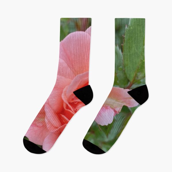 Item preview, Beautiful Rose Photo by Mark Ewing designed and sold by LifeSpice.