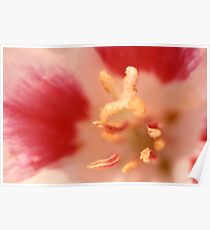 Abstract flower Poster