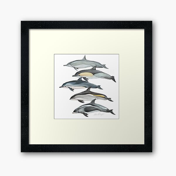 dolphins Framed Art Print