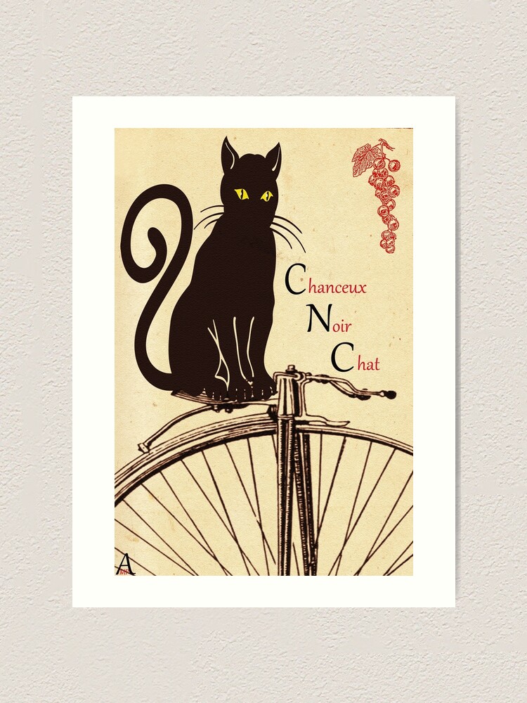 Fiche De Lecture Le Chat Noir Edgar Allan Poe