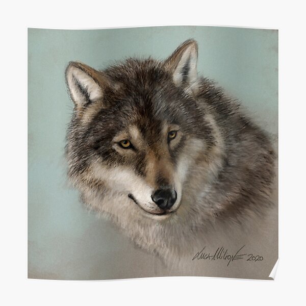 wolf digital portrait Poster