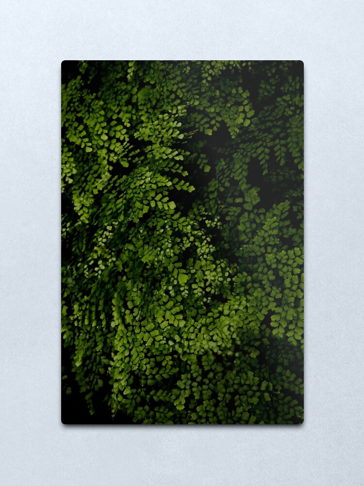 Alternate view of Small leaves. Metal Print