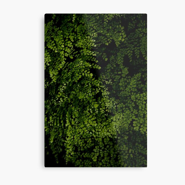 Small leaves. Metal Print