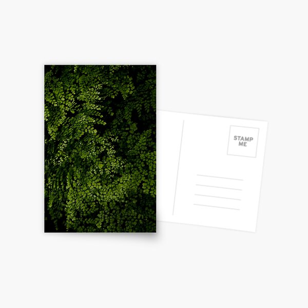Small leaves. Postcard