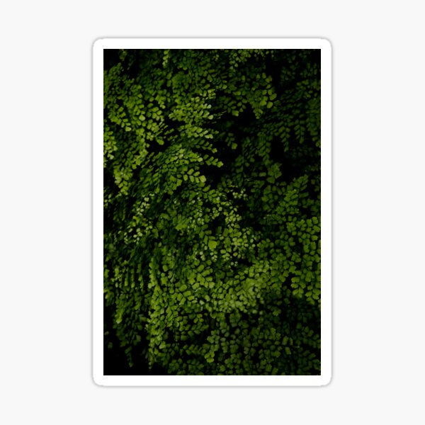 Small leaves.  Sticker