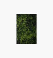 Small leaves. Art Board