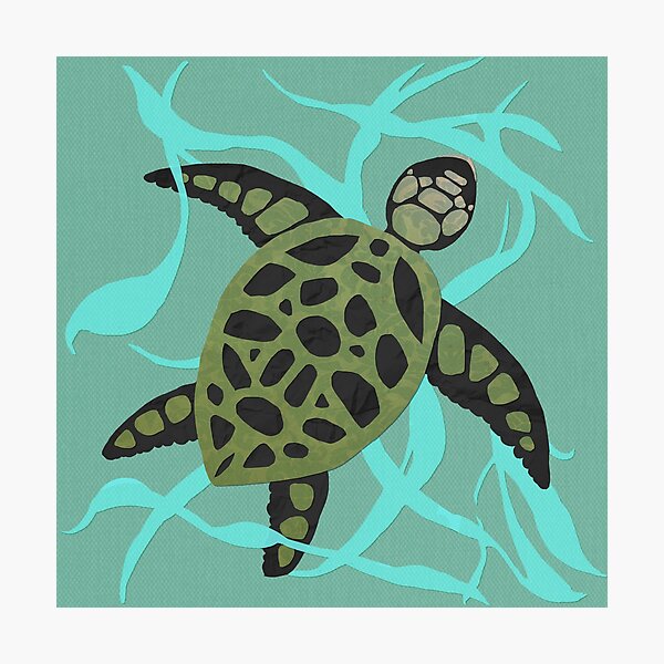 Sea Turtle Photographic Print