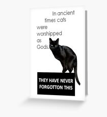 In Ancient Times Cats Were Worshipped As Gods Greeting Card