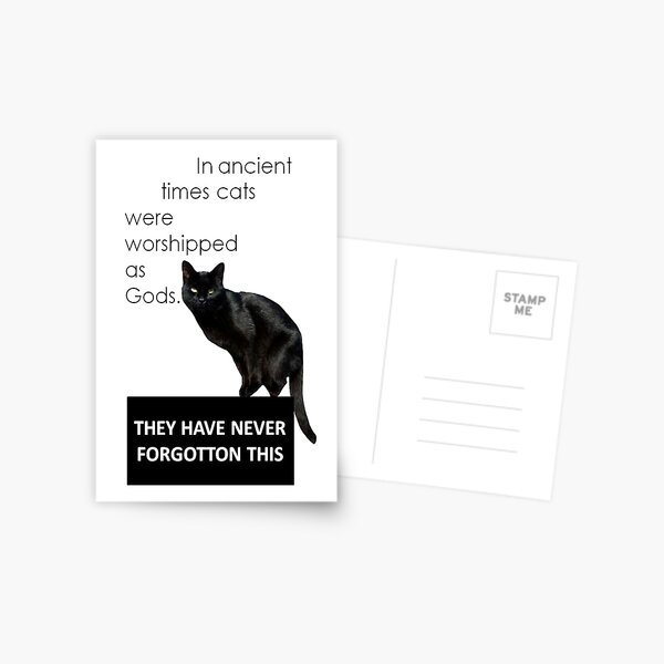 Bad Cat Gifts Merchandise Redbubble - fuzzy black cat hood roblox