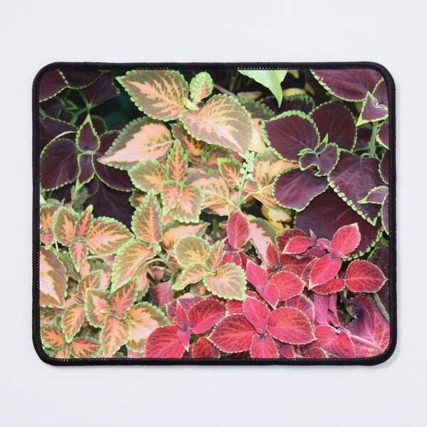 Item preview, Group Hug designed and sold by coffeebean.