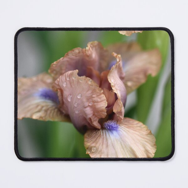 Item preview, Blue Beard designed and sold by coffeebean.