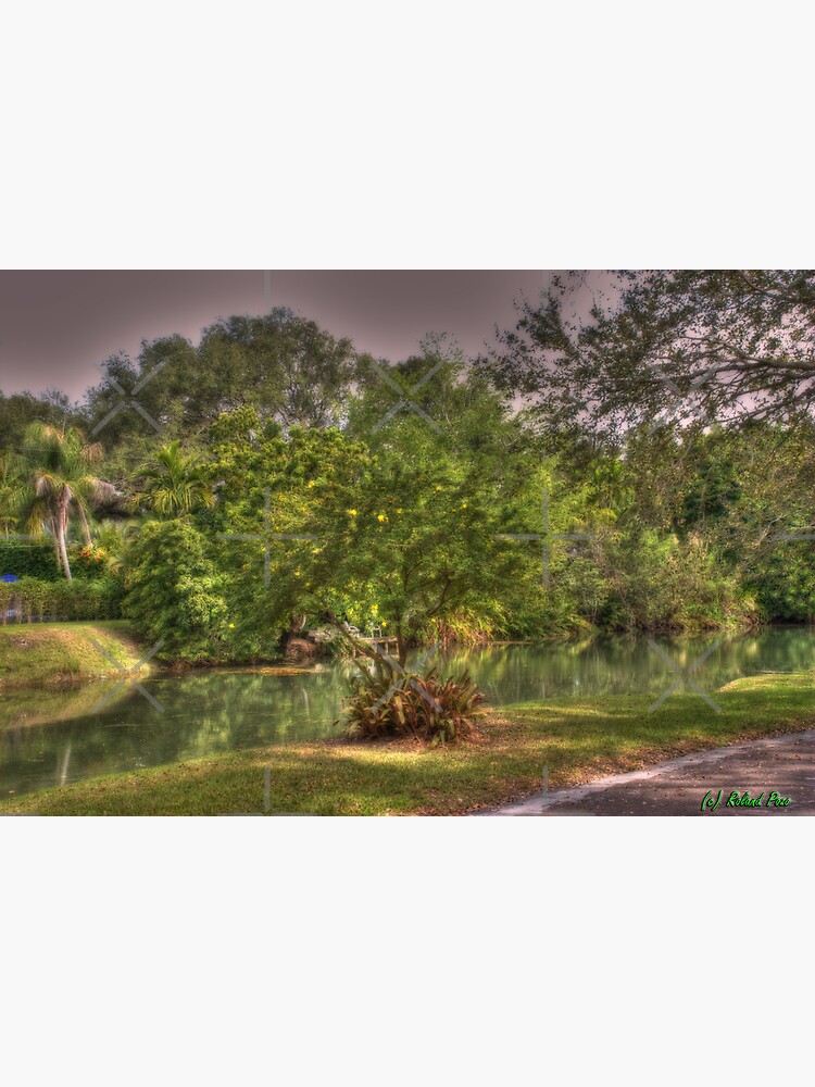 Shady Stroll by photorolandi