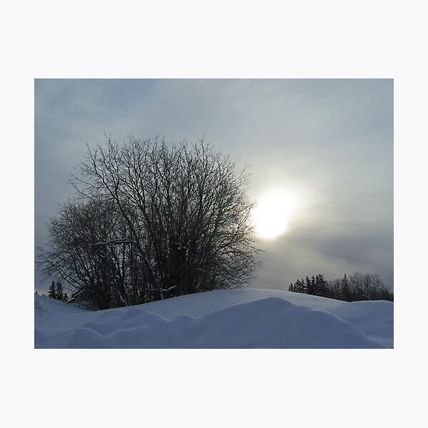 Item preview, Chilly Sun designed and sold by Gene Cyr.