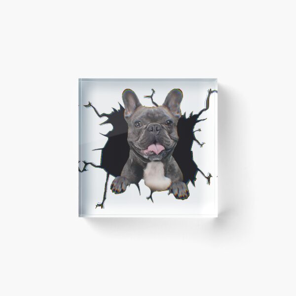 Item preview, Frenchie Outburst designed and sold by Most-Mysterious.