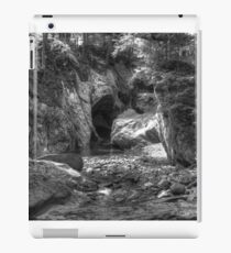 Middle Earth iPad Case/Skin