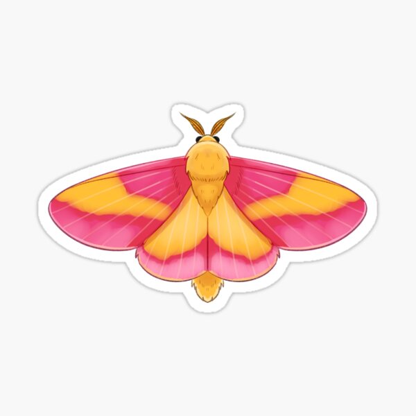 Item preview, Rosy Maple Moth designed and sold by jupiter-cactus.