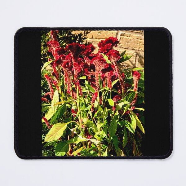 Item preview, Red Velvet Flowers Lambton  designed and sold by KazM.