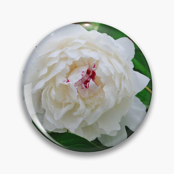Item preview, PEONIES 2022 designed and sold by bgoddard.