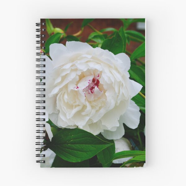 Item preview, PEONIES 2022 designed and sold by bgoddard.