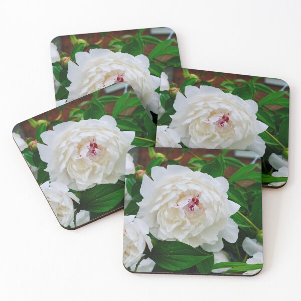 Item preview, PEONIES 2022 designed and sold by bgoddard.