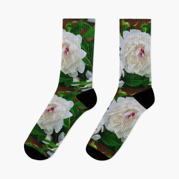 Item preview, PEONIES 2022 designed and sold by bgoddard.