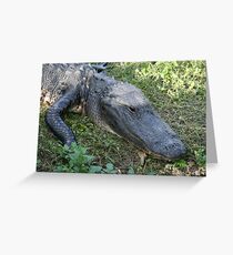 Up close and Personal Greeting Card