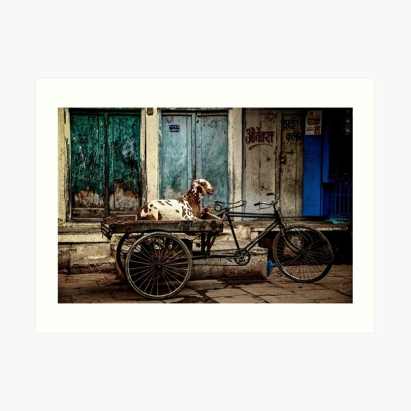 Goat on Wheels Art Print