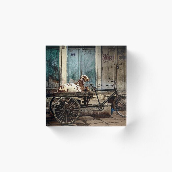 Goat on Wheels Acrylic Block