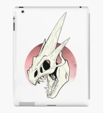 Pokemon - Mega Charizard Y Skull iPad Case/Skin