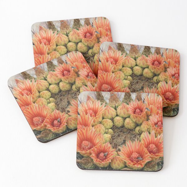 Item preview, barrel cactus flowers designed and sold by RichImage.
