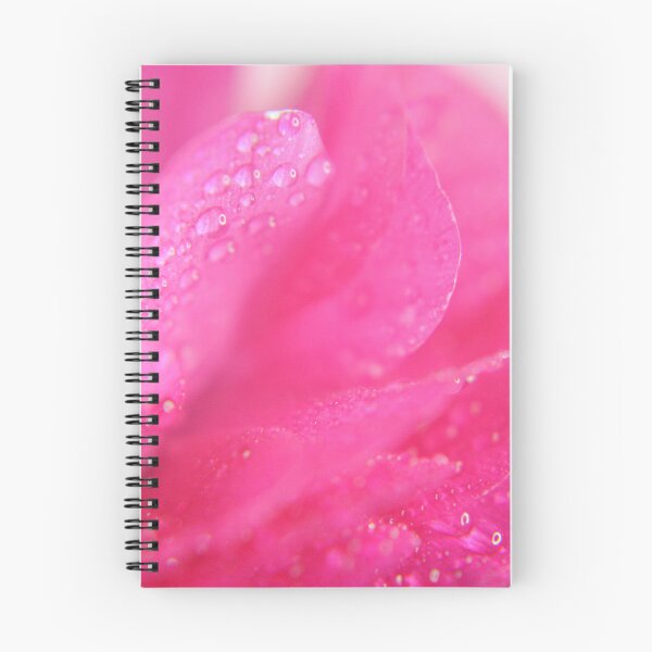 Item preview, Now You Know  designed and sold by Denise Abé.