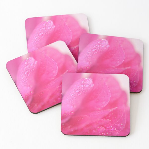 Item preview, Now You Know  designed and sold by Denise Abé.