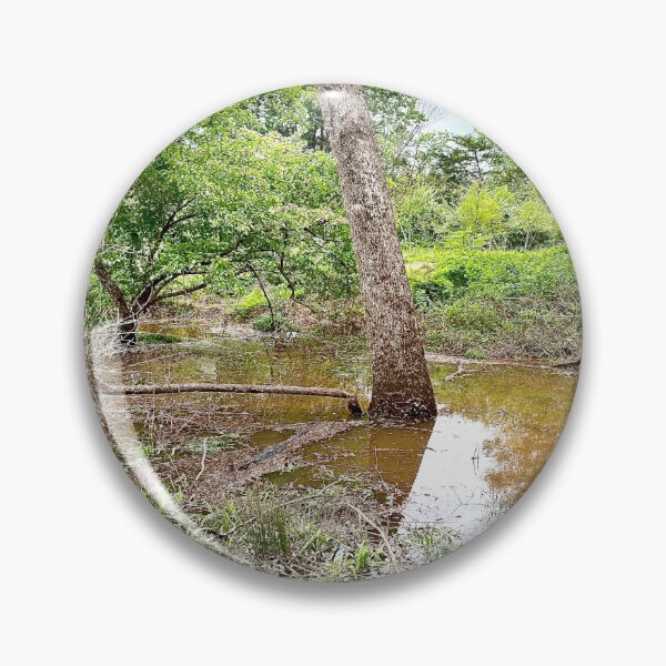 Item preview, Flooded Forest designed and sold by CJRPics.