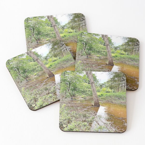 Item preview, Flooded Forest designed and sold by CJRPics.
