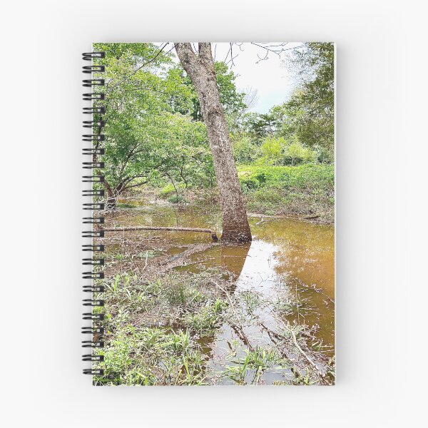 Item preview, Flooded Forest designed and sold by CJRPics.