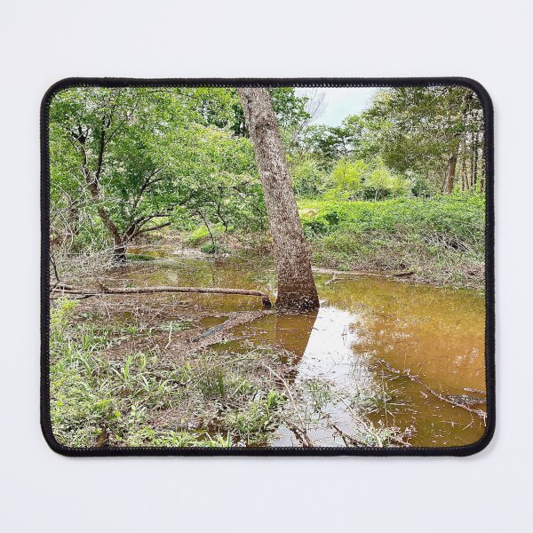 Item preview, Flooded Forest designed and sold by CJRPics.