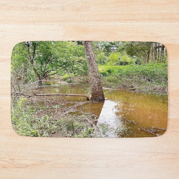 Item preview, Flooded Forest designed and sold by CJRPics.