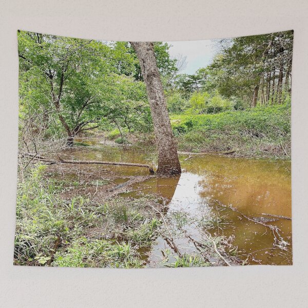 Item preview, Flooded Forest designed and sold by CJRPics.