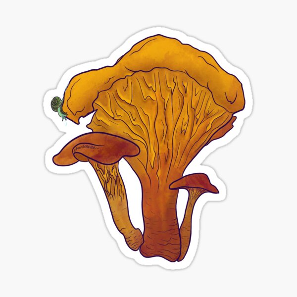 Item preview, Chanterelle designed and sold by MycologyMom.