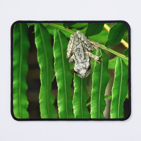 Item preview, Frog jump waiting to happen designed and sold by Dead-Moroz.