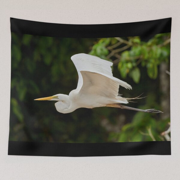 Item preview, Great Egret~ White Shore Bird In Flight designed and sold by bayberrygal.