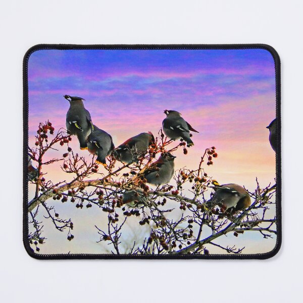 Item preview, Bohemiam Waxwings Love Berries designed and sold by alabca.