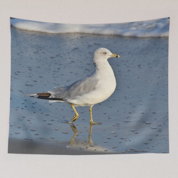 Item preview, Ring-Billed Sea Gull  designed and sold by LeslieMac713.
