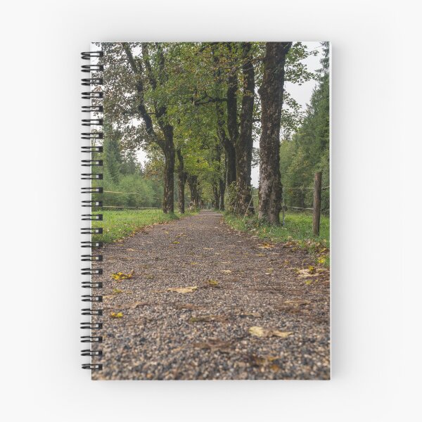 Item preview, Oberstdorf Tree Avenue - Allgäu Alps designed and sold by xP42.