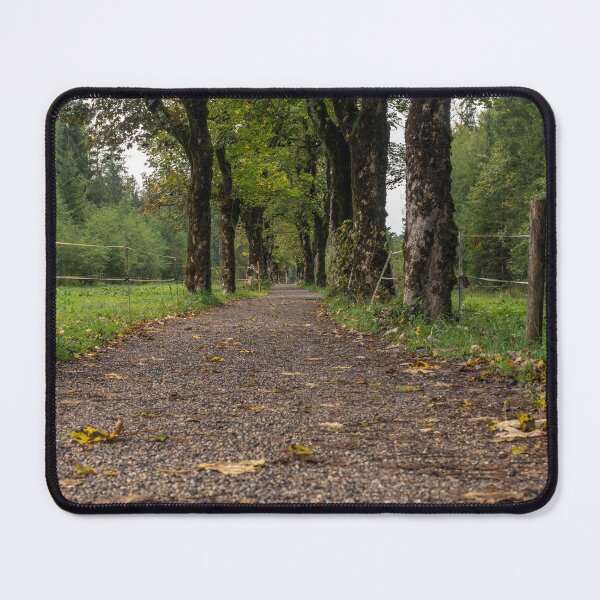 Item preview, Oberstdorf Tree Avenue - Allgäu Alps designed and sold by xP42.