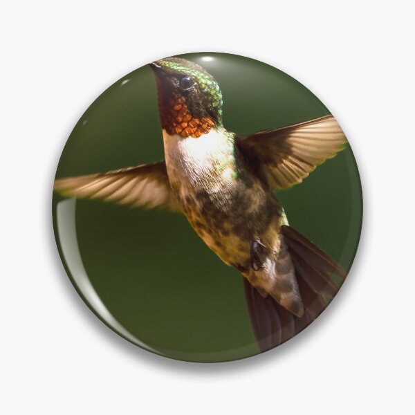 Artikelvorschau, Male Ruby Throated Hummingbird entworfen und verkauft von nbrandsberg.