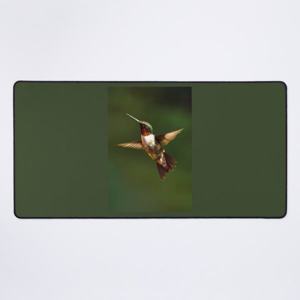 Item preview, Male Ruby Throated Hummingbird designed and sold by nbrandsberg.