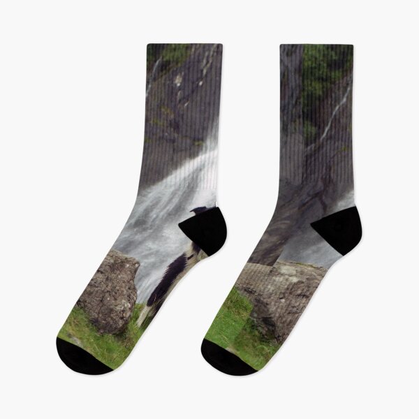 Item preview, Indy at Aber Falls designed and sold by Michael Haslam.