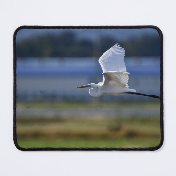 Item preview, Great Egret Flying Over Wetlands designed and sold by bayberrygal.