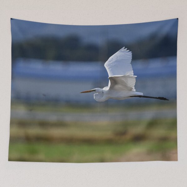 Item preview, Great Egret Flying Over Wetlands designed and sold by bayberrygal.